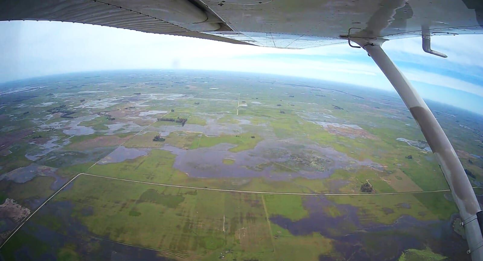 Los campos del centro y oeste bonaerenses afectados por las fuertes lluvias y el desborde del río Salado (Foto: Claudio Velazco)
