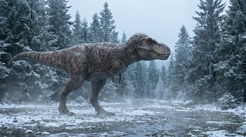 Un tiranosaurio de plumaje pardo camina sobre suelo cubierto de nieve frente a un bosque de coníferas con niebla.