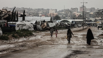 Mueren cuatro palestinos, incluido un