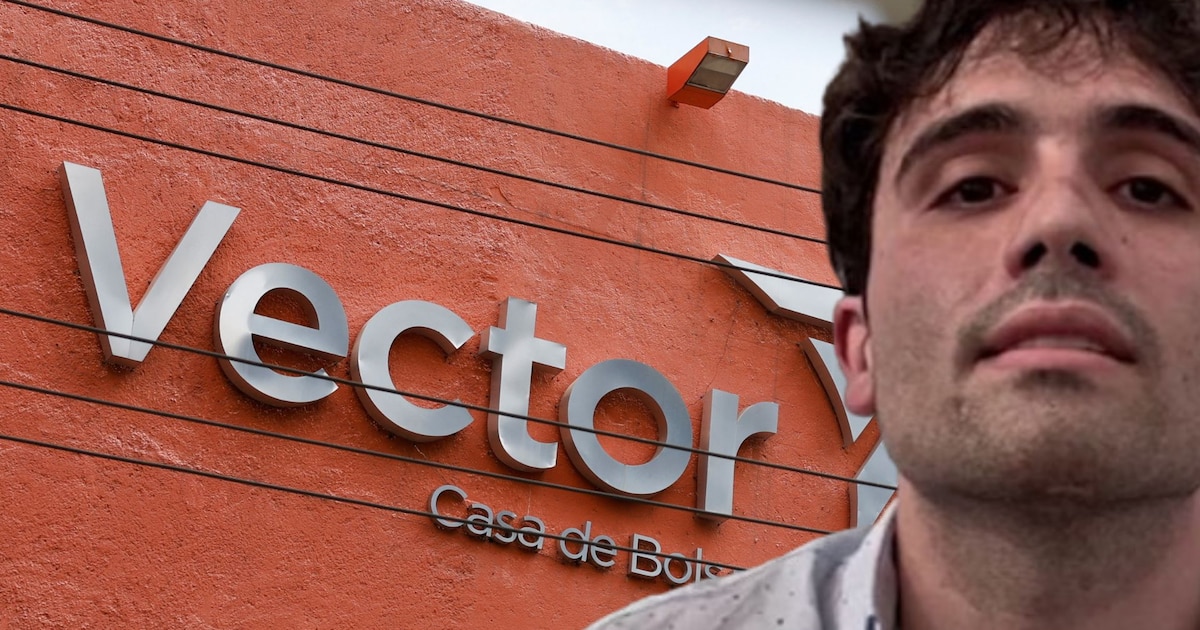 Ovidio Guzmán pudo haber revelado operaciones de Vector para cerrar trato con EEUU, según José Luis Montenegro - Infobae