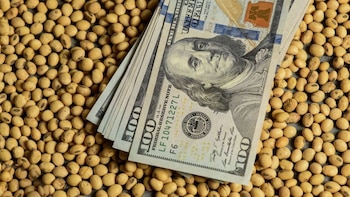 Las exportaciones de soja podrían aportar hasta US$ 3.000 M extra en 2026