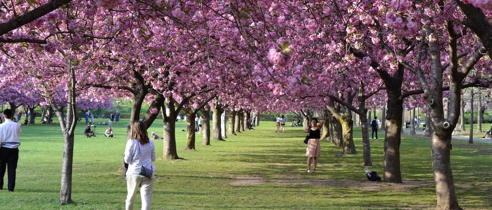 EZUTTOKDDJDSPLPYWJNMITB2I4