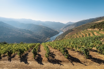10/10/2022 Viñedos en Douro (Portugal)
ESPAÑA