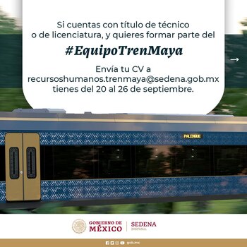 Los candidatos deben cumplir con