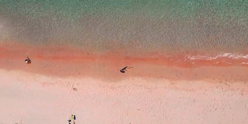 La UNESCO declaró Patrimonio de la Humanidad al Parque Nacional de Komodo en 1991 por su valor ecológico y geográfico excepcional (Captura/YouTube)