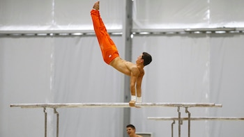 La subpartida correspondiente a artículos para cultura física, gimnasia o atletismo lideró las importaciones en agosto de 2026 con US$ 6.5 millones. (Reuters)