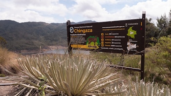 Abrieron las inscripciones al Chingaza Fest 2026 con cuatro rutas de 8 a 42 km para recorrer el páramo: así puede inscribirse