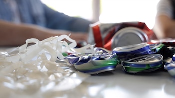 Los diputados buscan promover la