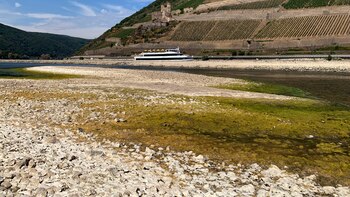 El transporte fluvial europeo colapsa