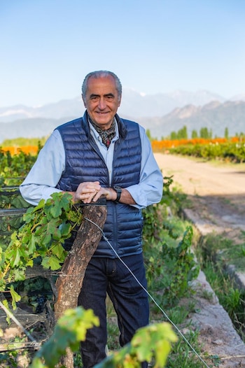 Hombre de cabello gris sonríe y mira a cámara en un viñedo. Viste chaleco acolchado azul, camisa celeste y jeans, apoyado en un poste de madera