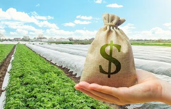 La comparación de modelos financieros