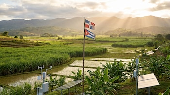 Paisaje agrícola con campos de caña, arroz y plátano. Sensores meteorológicos, paneles solares y banderas de República Dominicana y Cuba. Montañas y cielo soleado.