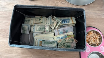 Los fajos de billetes que encontaron en la caja fuerte