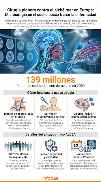 Infografía sobre cirugía experimental contra el alzhéimer. Incluye ilustraciones del cerebro, sistema linfático, microcirugía cervical, estadísticas y ensayo clínico.