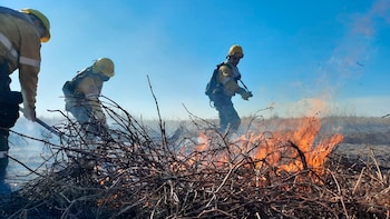 El ministro de Ambientes Juan