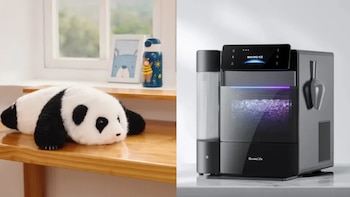 Robot panda con IA y