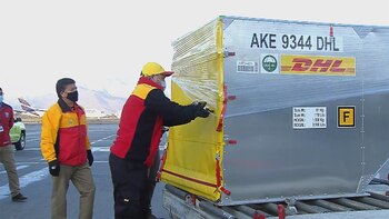 Operarios transportando las vacunas