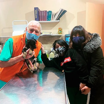 “No sólo atiendo a perros