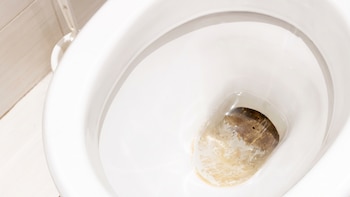 Cómo quitar la mancha amarilla del fondo del inodoro sin usar cloro: truco casero
