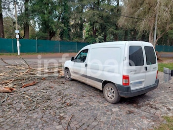 Esperaba dentro del auto, un árbol le cayó encima y demandó al municipio y a un barrio cerrado: por qué la Justicia solo condenó al Estado