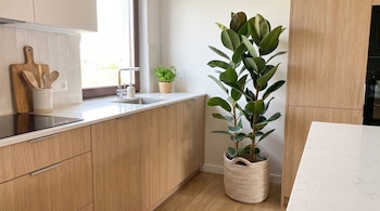 Cocina con gabinetes de madera clara, encimera blanca, fregadero, ventana, estufa y dos plantas, una grande en un canasto de fibras.