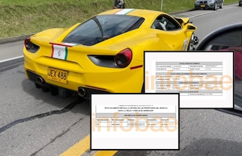 El conductor habría perdido el