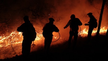 Terapias virtuales, el recurso de