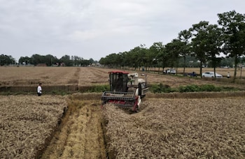 China es un formidable productor