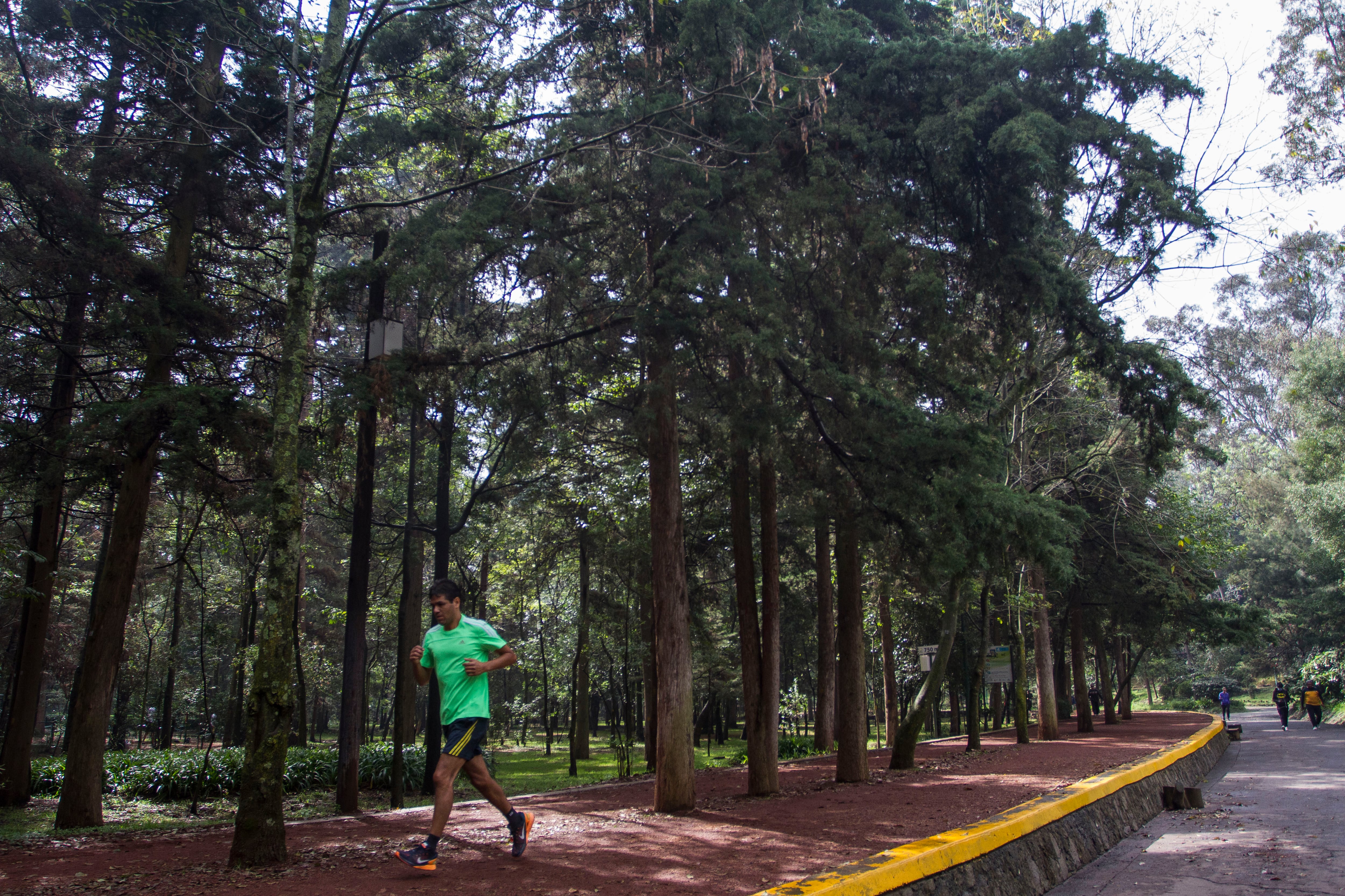 Bosque de Tlalpan. FOTO: ISAAC ESQUIVEL /CUARTOSCURO.COM