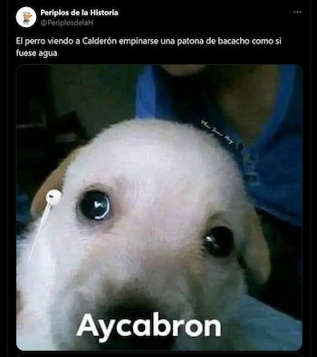 El lomito de la familia