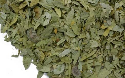 El uso de esta planta o suplementos elaborados con la misma debe hacer bajo estricta supervisión médica.