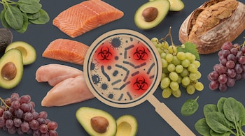 Varios alimentos como carnes, frutas y verduras rodean una lupa que contiene dibujos de bacterias y símbolos de riesgo biológico.