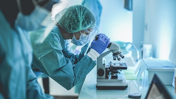 Investigación en un laboratorio (Shutterstock)