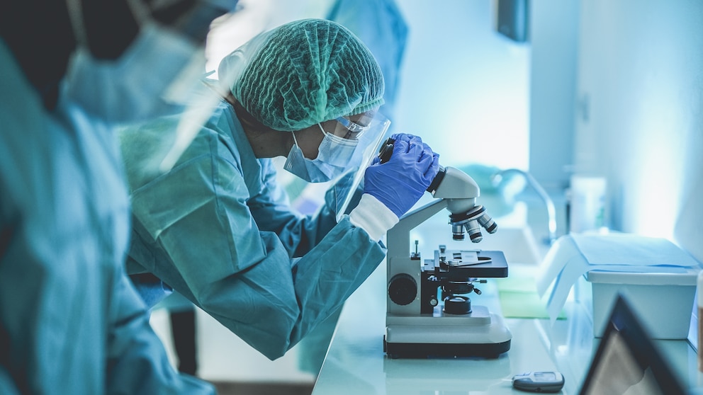 Imagen ilustrativa de una investigación realizada en laboratorio.