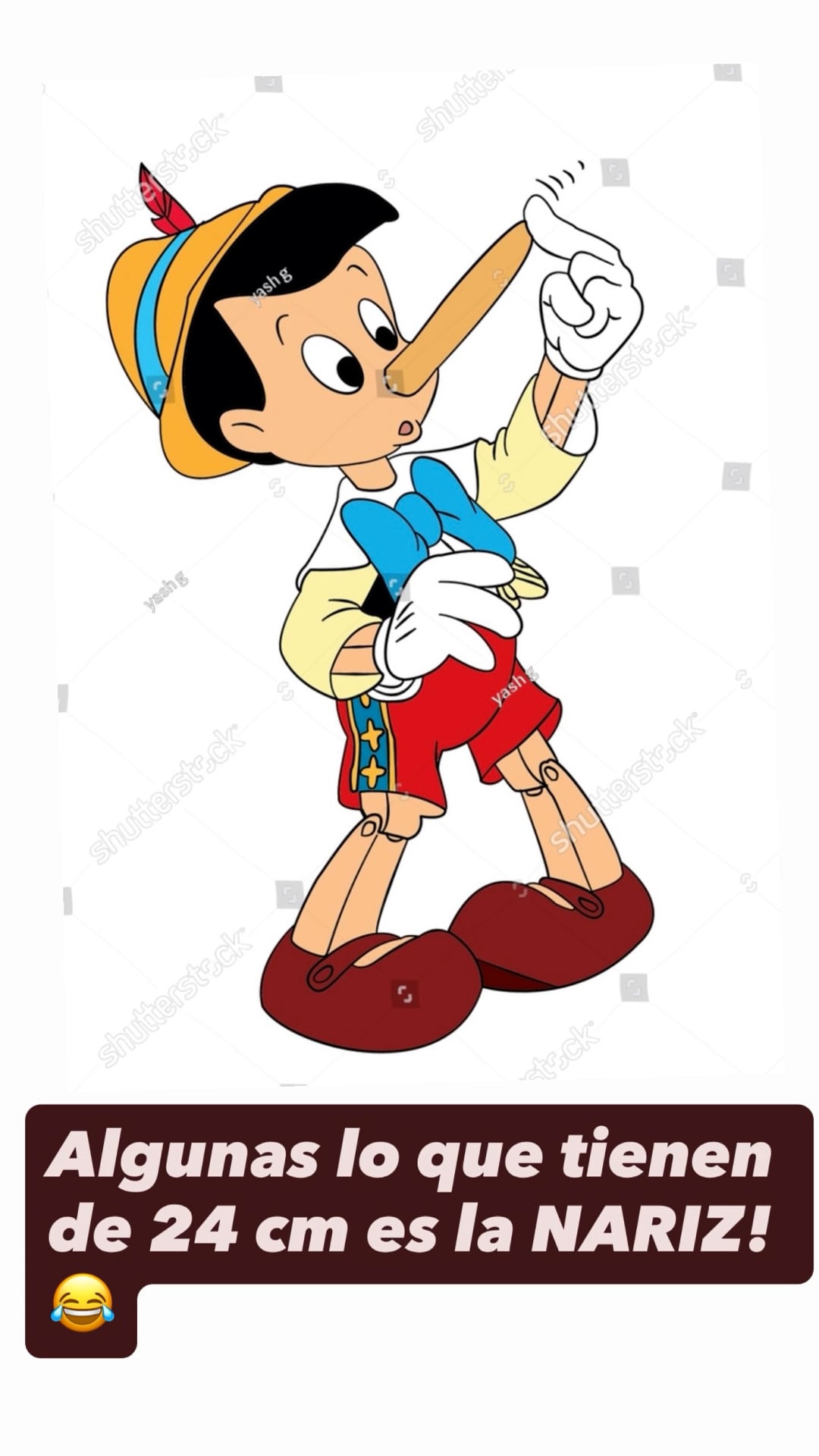 El posteo de Graciela Alfano