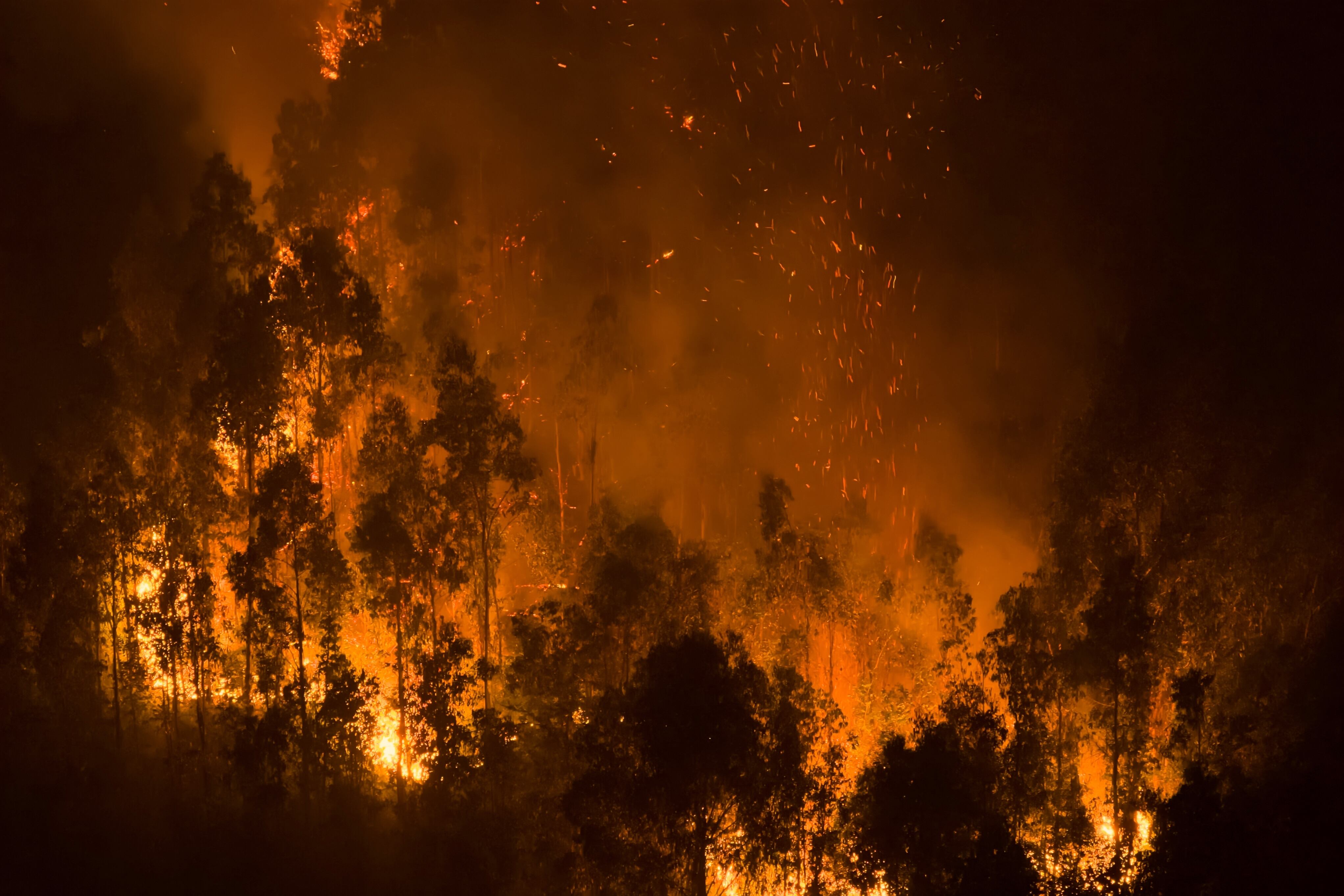 El cambio climático intensifica la frecuencia y la gravedad de los incendios forestales, consolidando un círculo vicioso global (Foto AP/Javier Torres)
