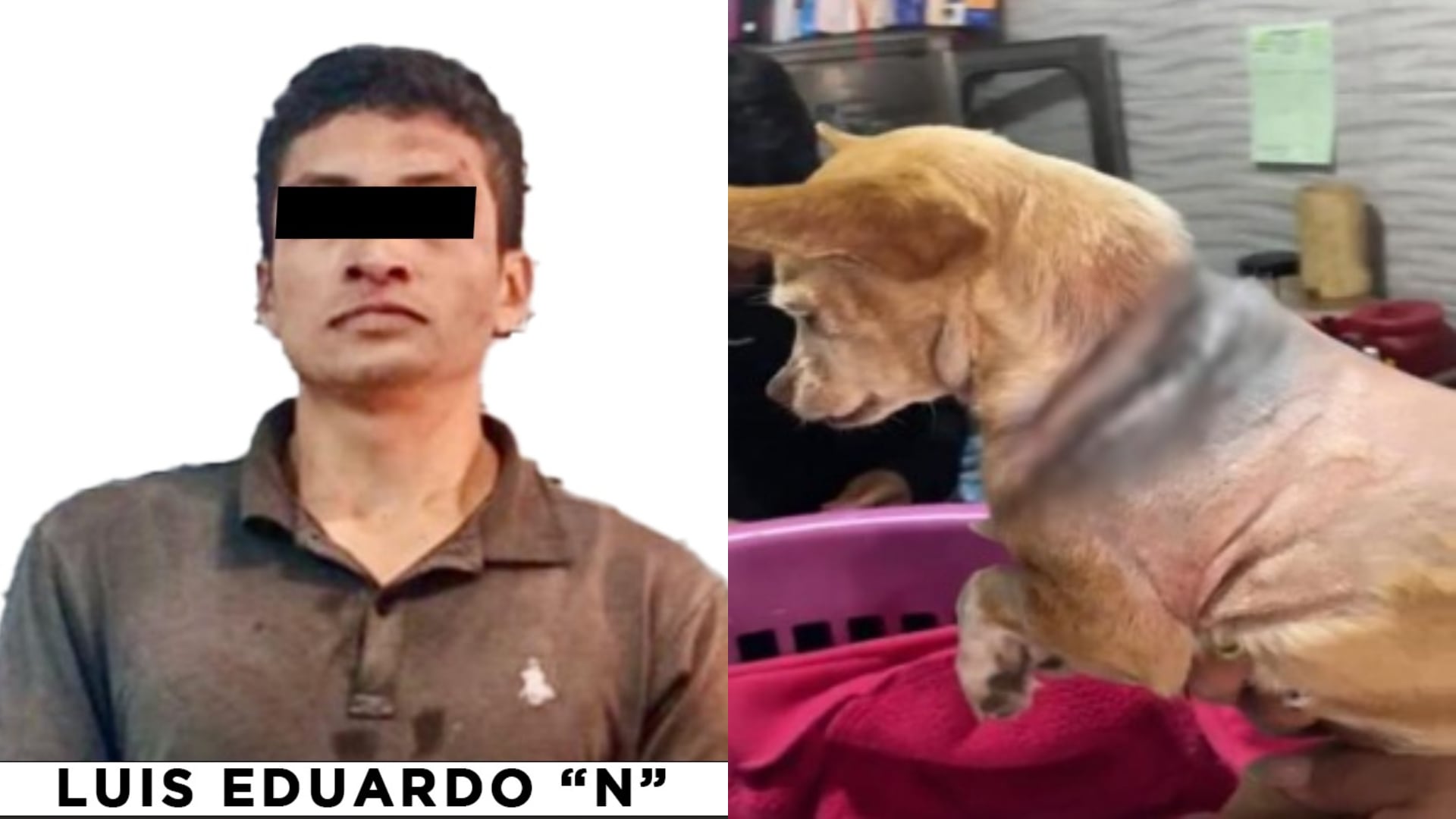 El hombre fue vinculado a proceso por su presunta responsabilidad en el delito de maltrato animal. Crédito: Fiscalía Edomex