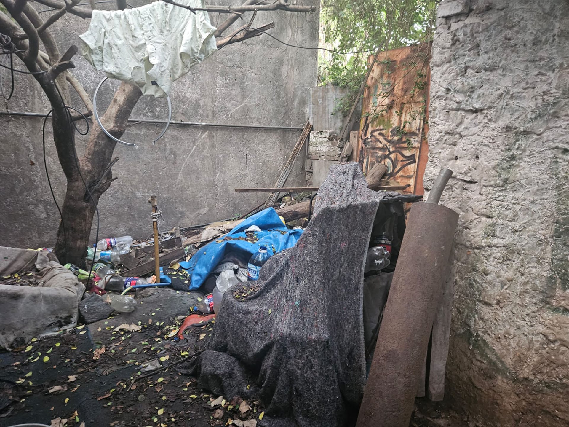 La camisa colgada en el árbol