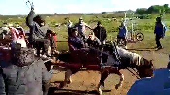 El video de la brutal