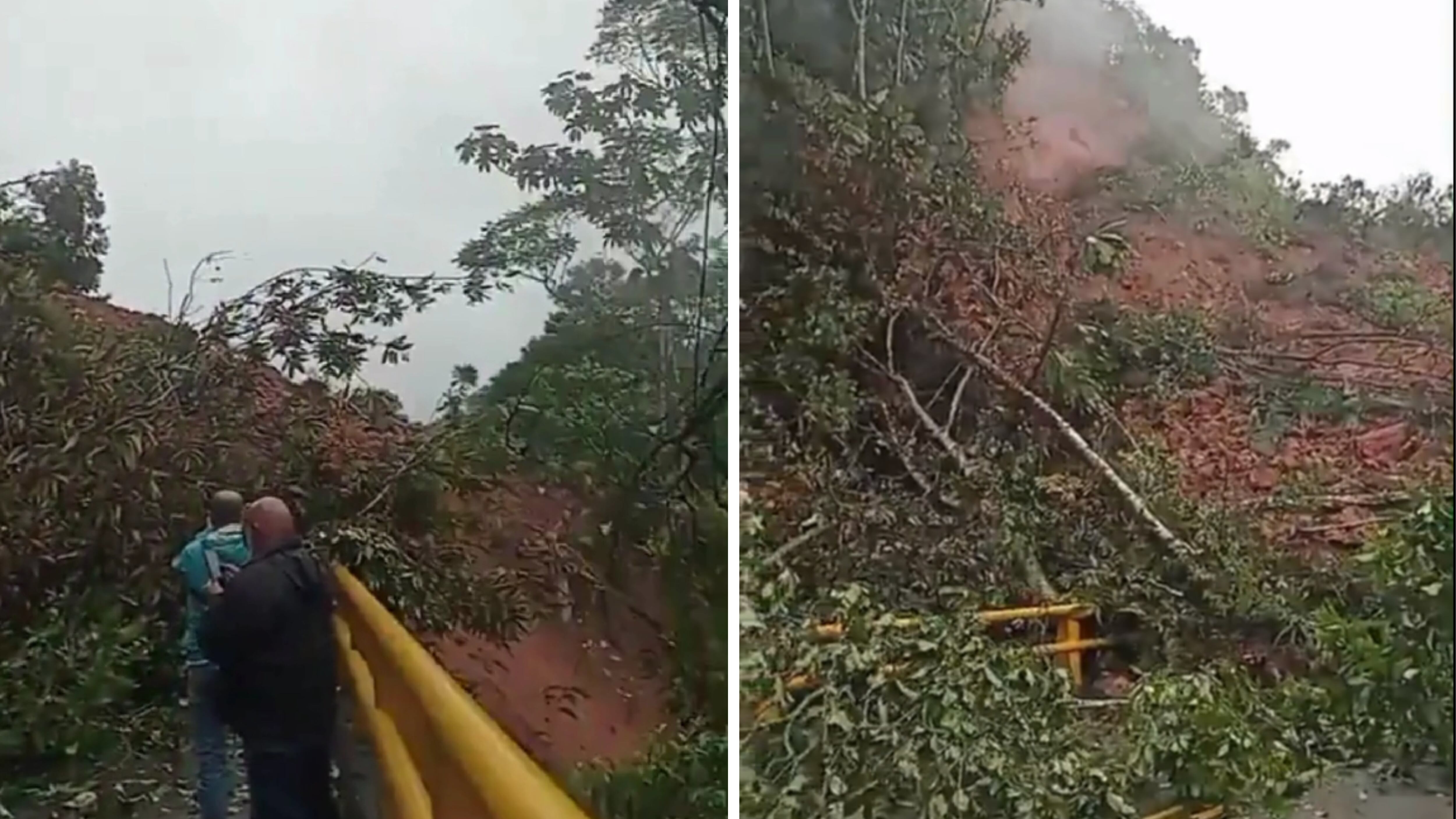 Vista del deslizamiento en el sector Caño Alegre, kilómetro 50+700 de la autopista Medellín-Bogotá, donde más de 3.000 metros cúbicos de tierra y árboles bloquearon por completo la vía - crédito @Julian_VasquezP/X