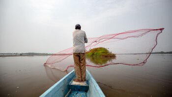 “Comunidades de pescadores deben ser sujetos de especial protección constitucional”: Defensoría del Pueblo