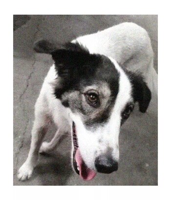 Una foto de Débora, la