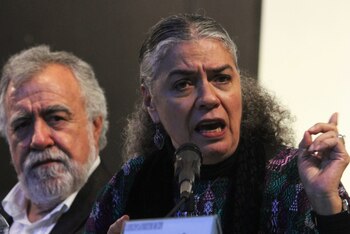 Elvira Concheiro era la antigua