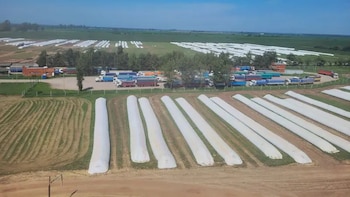 Vandalismo rural: qué dice el proyecto de ley que obtuvo dictamen de comisión y por qué lo cuestiona la oposición