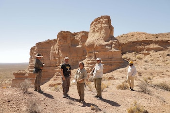 Descubren en río negro un nuevo cocodrilo carnívoro terrestre que convivió con los dinosaurios