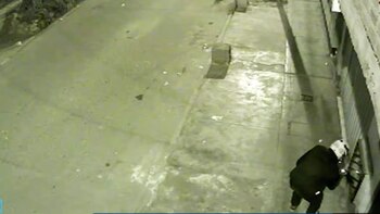 Extorsionadores detonan explosivo en medidor