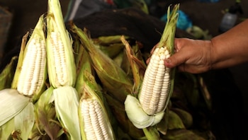 El Ministerio de Desarrollo Agrario