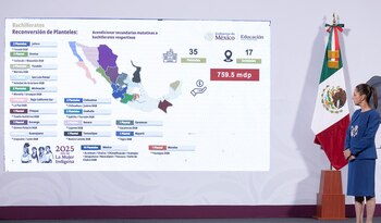 El proyecto forma parte de