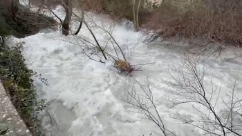 El caudal del río Castril