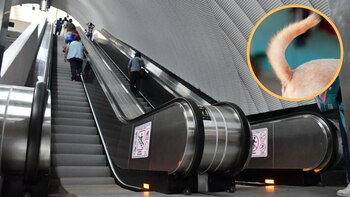 Es de suma importancia que